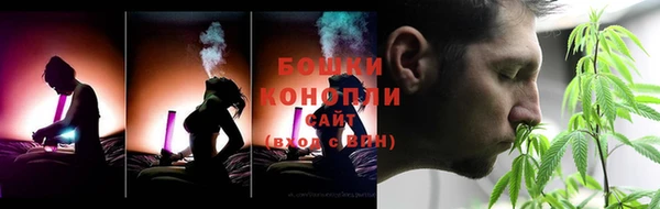 сатива Волоколамск