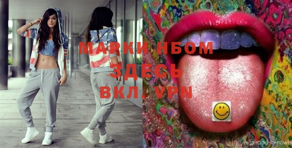 сатива Волоколамск