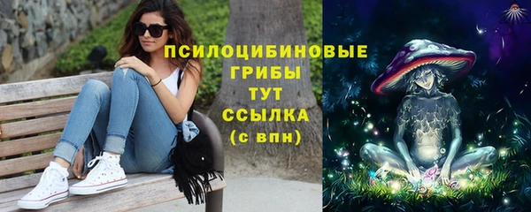 сатива Волоколамск