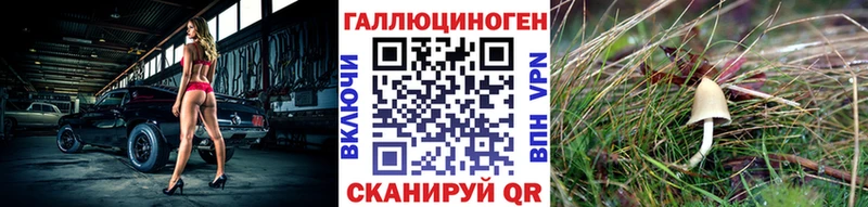 Псилоцибиновые грибы Psilocybine cubensis  купить закладку  Черемхово 